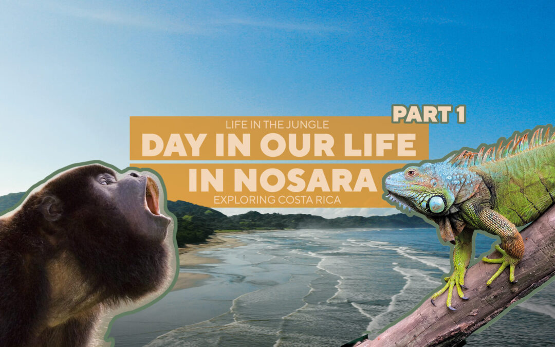 Discovering Nosara surf town Costa Rica – A day in our life